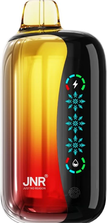 JNR FLEX ICE 21000 Pwdi Vape tafladwy Cyfanwerthu